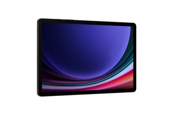 Samsung Galaxy Tab S9 WI-FI 8 Ram Gris - Imagen 3